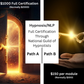 Half-Price Courses For Interns